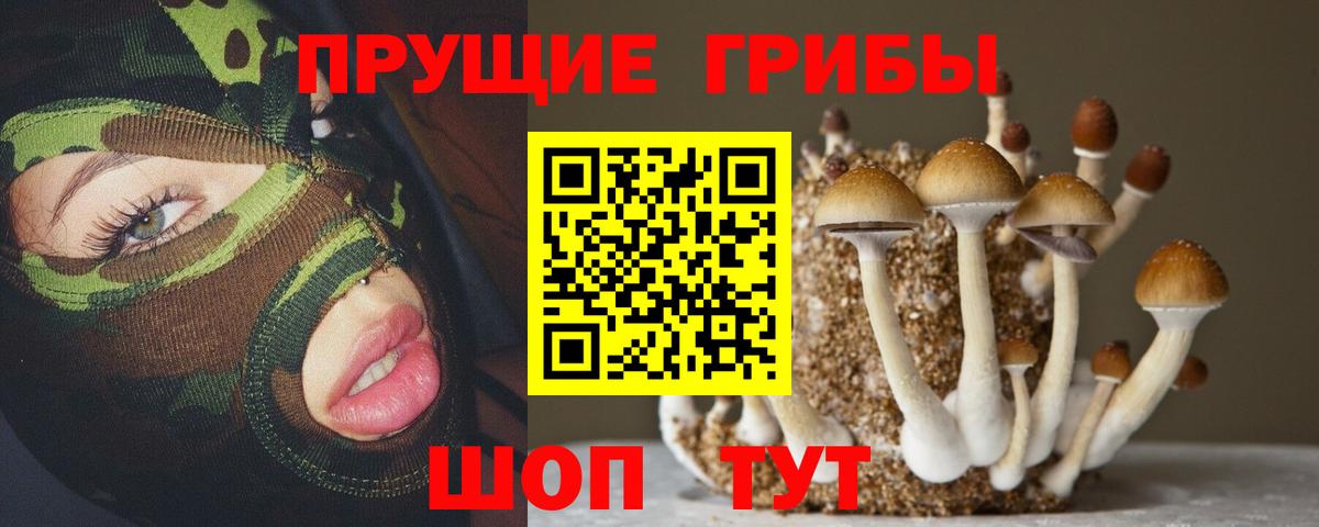 Нягань  Псилоцибиновые грибы MAGIC MUSHROOMS  Вход с VPN 